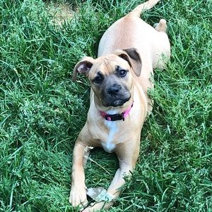 Meet your Posher, Vicki